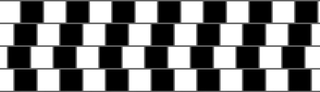 Illustration for article titled Animals Could Help Reveal Why Humans Fall For Illusions